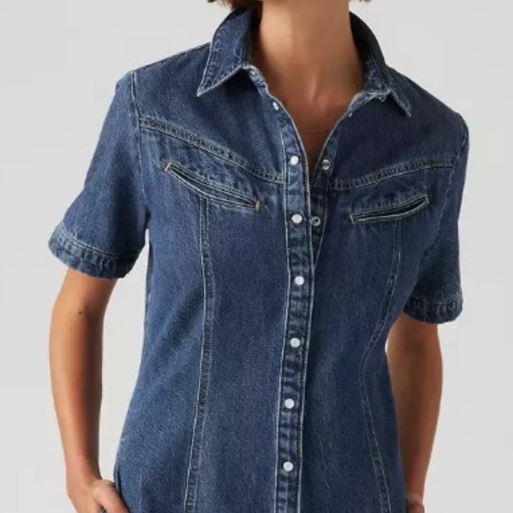 Levi's RInoa Dress Denim